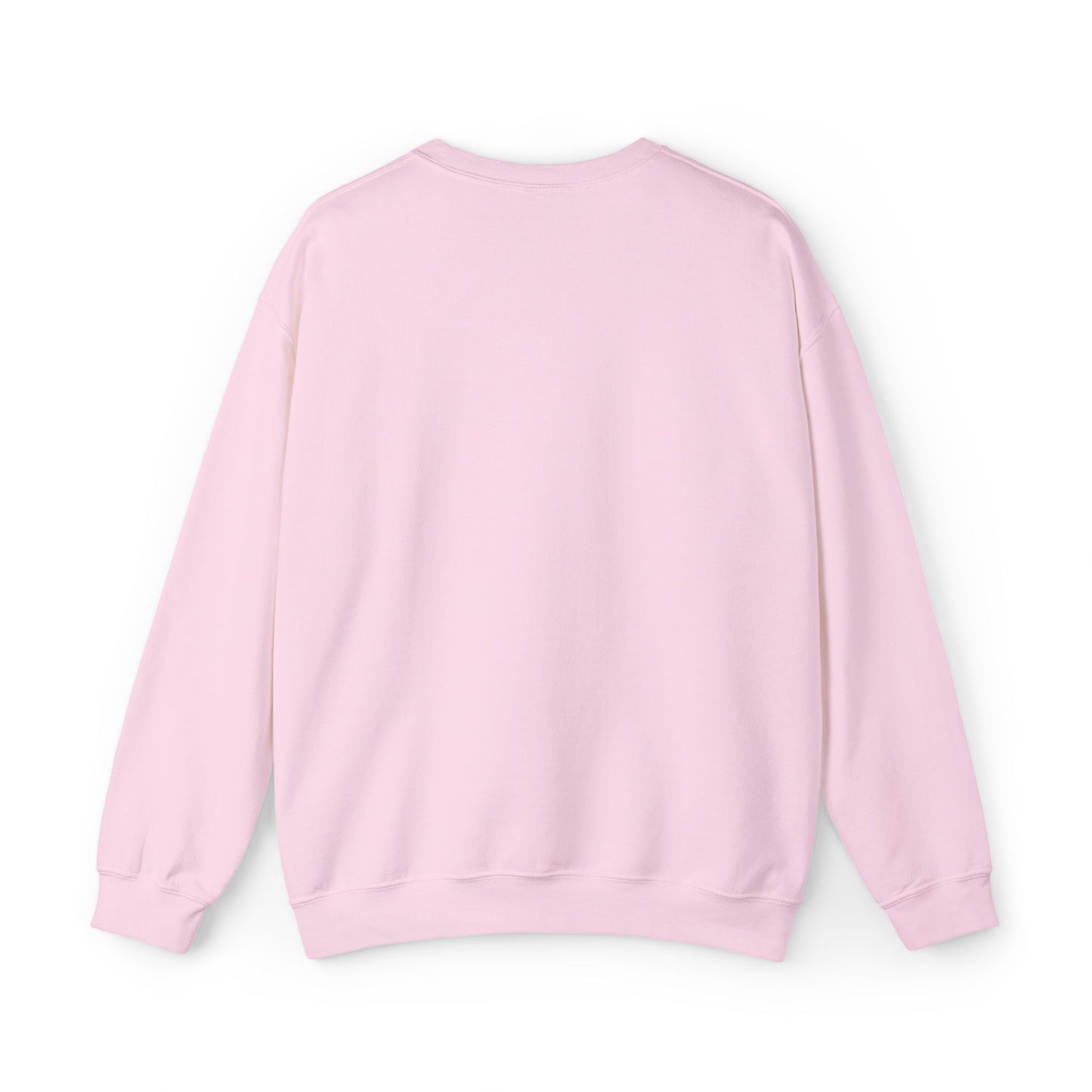 Baby Esnupi Embroidery Sweatshirt